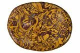 Coquina Jasper (Calligraphy Stone) Worry Stones - 1.5" Size - Photo 2